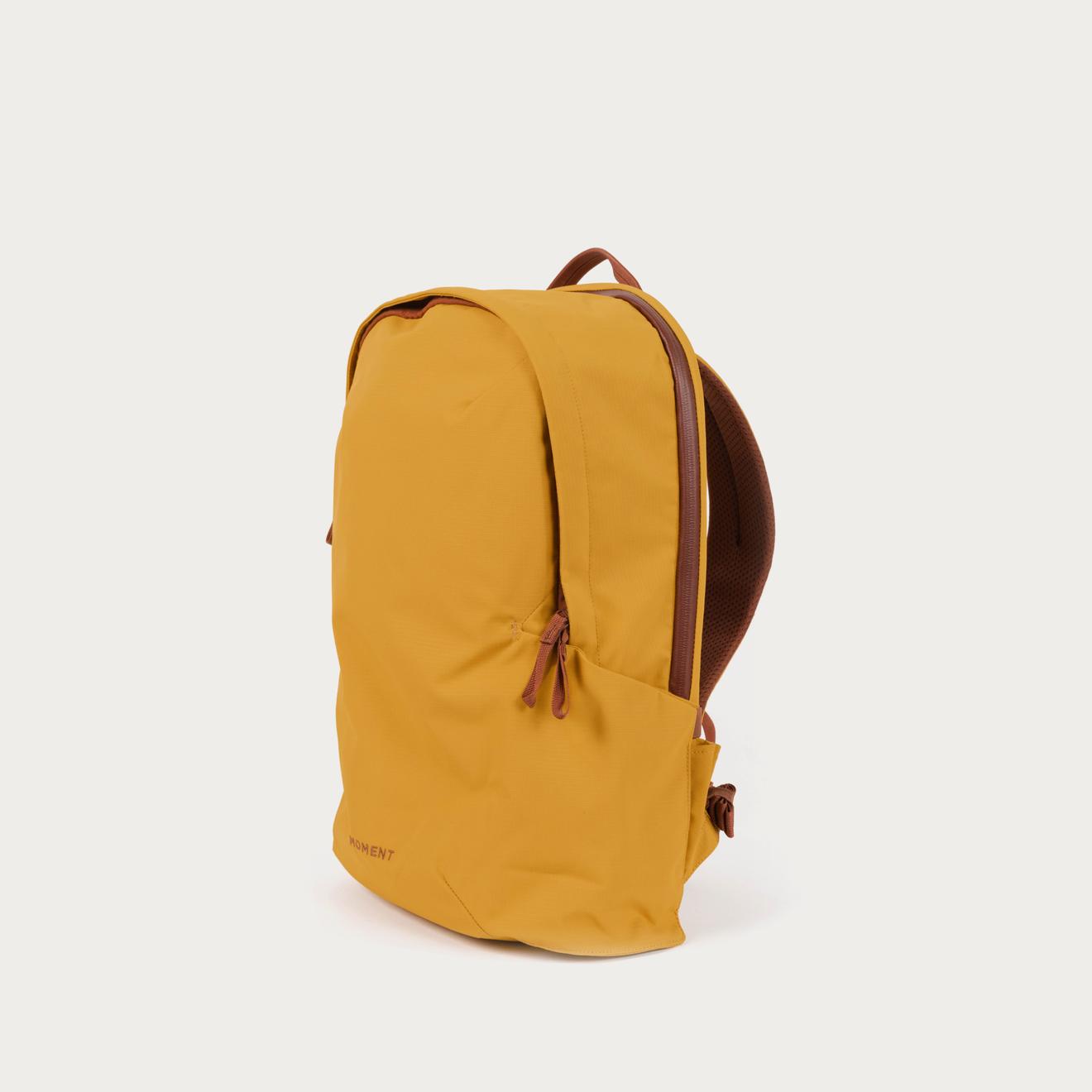 Everything Backpack (17L, 21L)